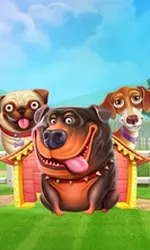 The Dog House